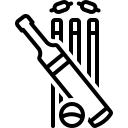 1771845522185-cricket