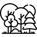 1772106030803-forest